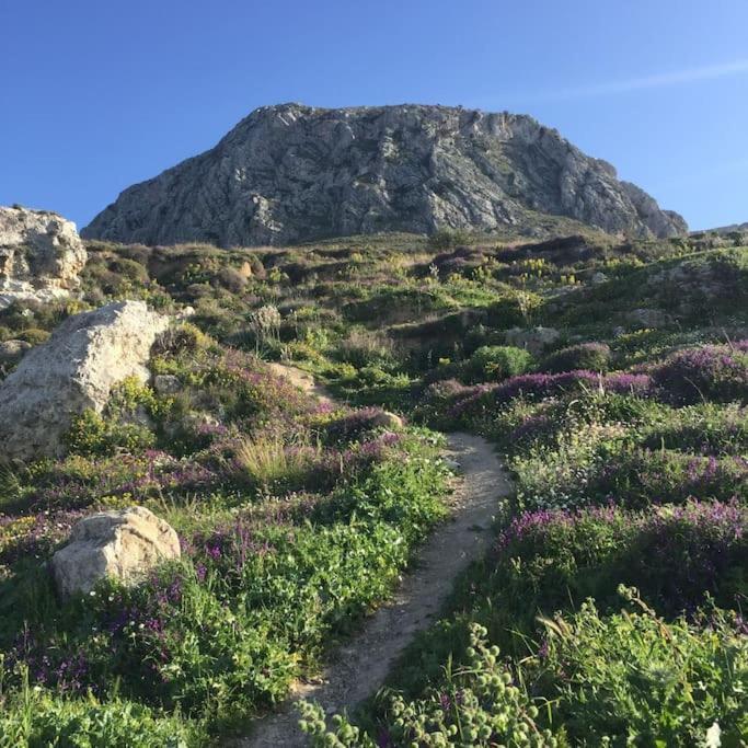 Aνεξάρτητη Παραδοσιακή Πέτρινη Κατοικία Corinth エクステリア 写真